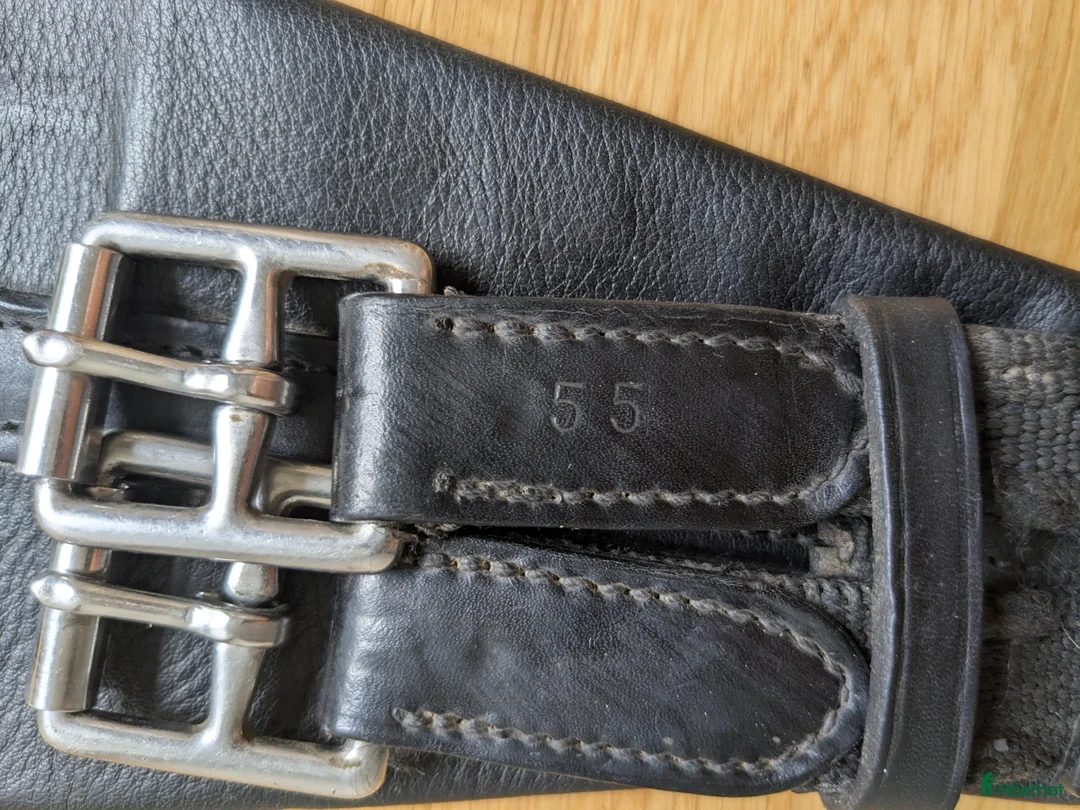 Sadeltillbehör hästutrustning till salu: Dressyrgjord 55 läder i Tullinge - Annons 3