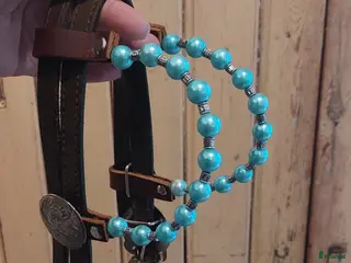 Träns hästutrustning Perfekt julklapp till hästen! Enöras! - Annons 5