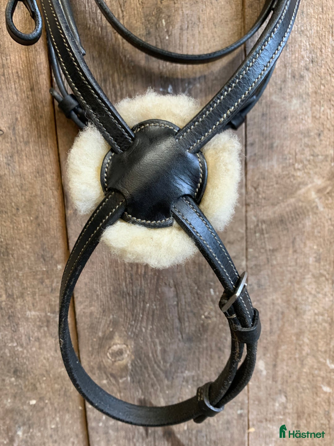 Träns hästutrustning till salu: Pullarträns i Ekerö - Annons 4