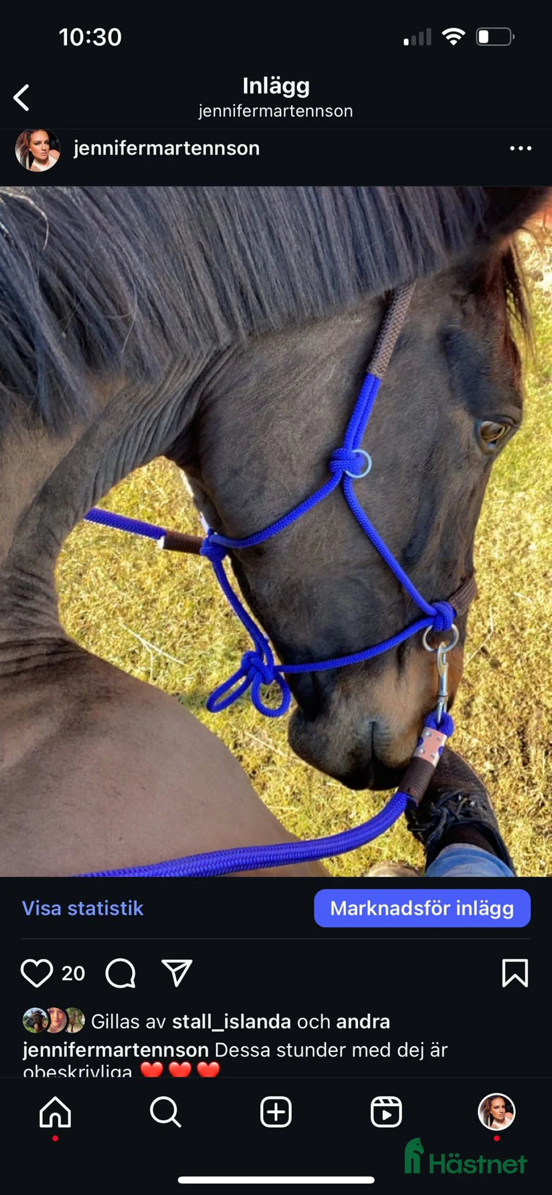 Fälttävlan hästar till salu: Min stjärna  - Annons 11