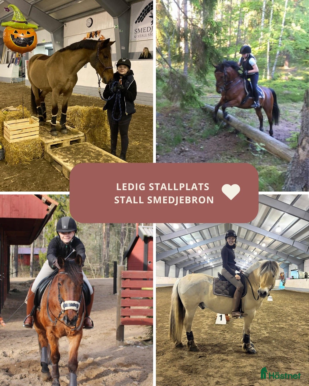  stallplats Stallplats i Skövde - Annons 1