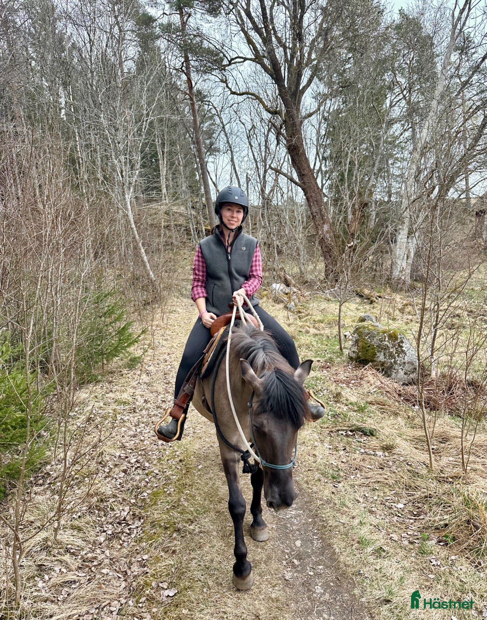  foderhäst Häst sökes! - Annons 4