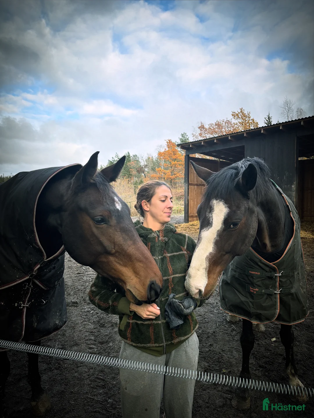  medryttarhäst finnes: Erfaren medryttare till häftig Swb hopp/dressyr i Västerhaninge - Annons 17