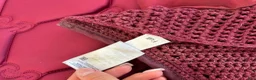 Schabrak & Vojlockar hästutrustning till salu: Vinrött Ps of Sweden schabrak och huva  - Annons 8