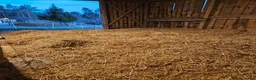  stallplats finnes: Lösdriftsplats - Annons 4