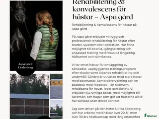 hästservice finnes: Stall Lindesberg i Lindesberg - Annons 1