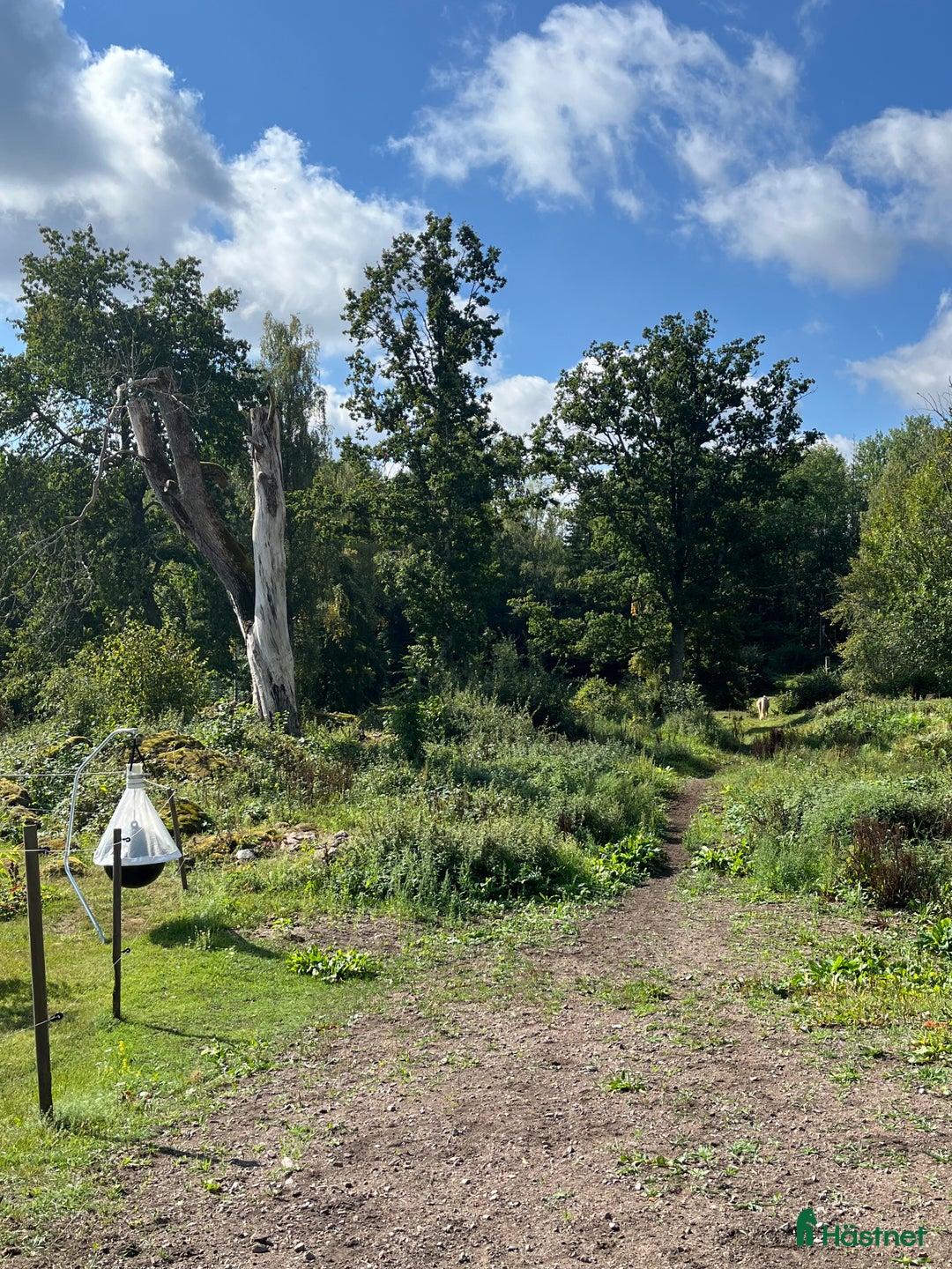  stallplats finnes: Stallplats i Oskarshamn i Oskarshamn - Annons 1