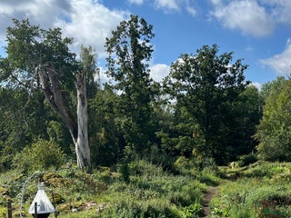 stallplats Stallplats i Oskarshamn i Oskarshamn - Annons 6