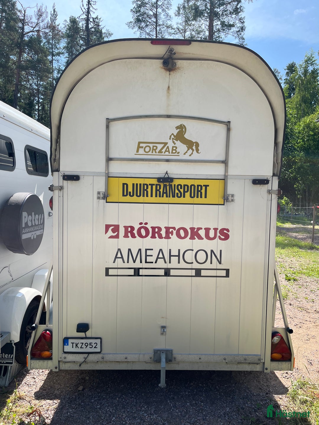 Hästtransporter  fordon & transport till salu: Forzab Cavallo SEH26 -16 i Valbo - Annons 3