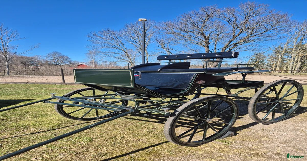 Fin vagn till salu till salu i Stora Mellösa | Hästnet