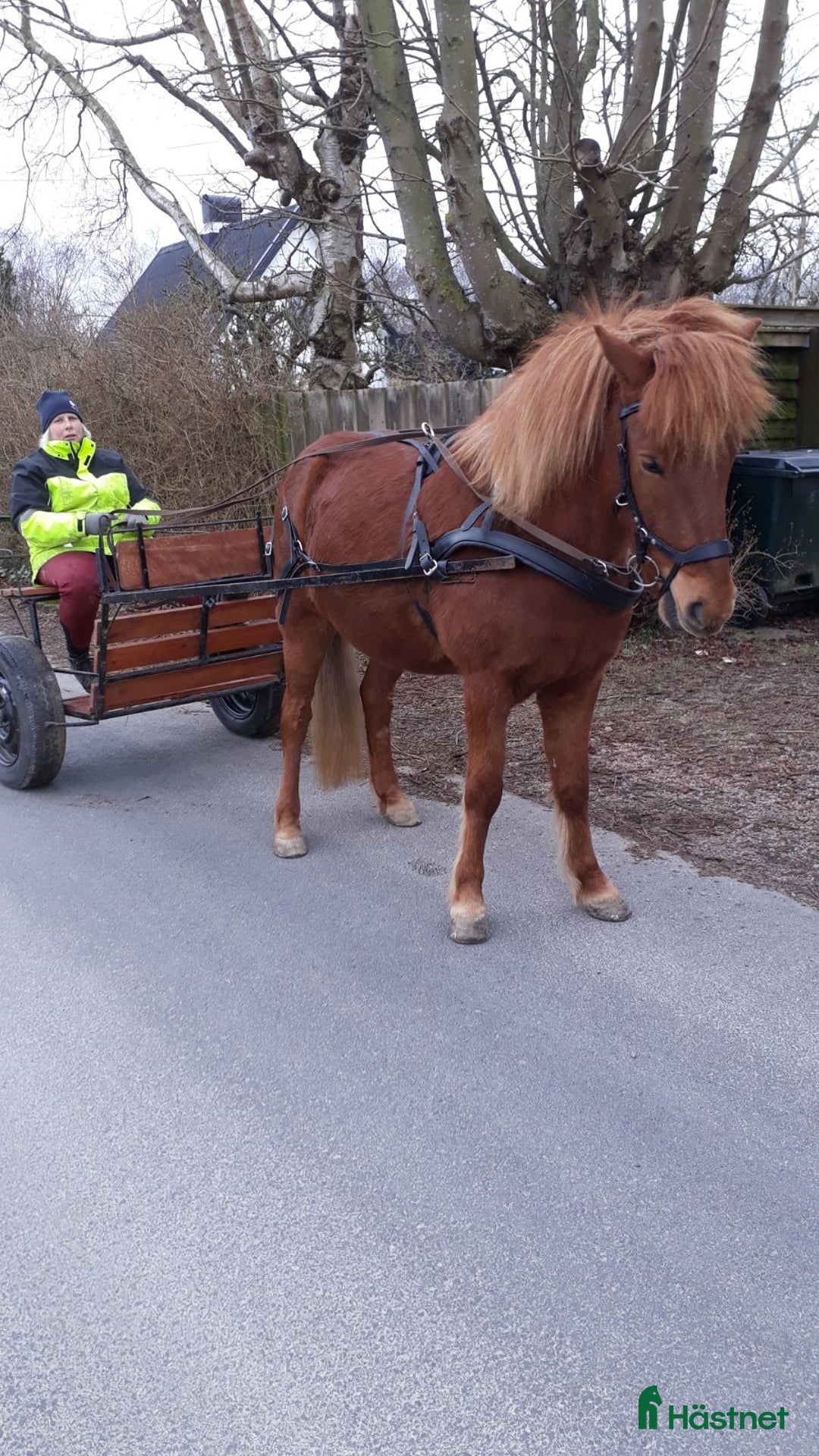 Körvagnar körning till salu: Nyrenoverad Rockard,Sulky till Shettis, Ponny,COB i Kattarp - Annons 2