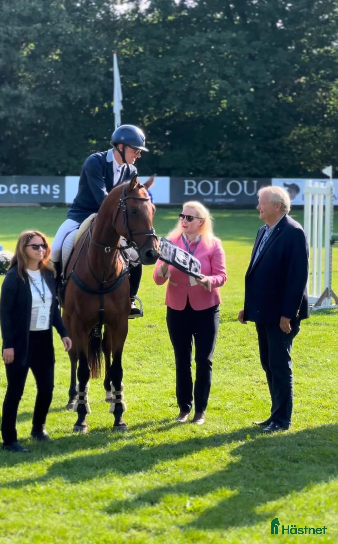 Avelshästar hästar till salu: Prestationssto till avel  i Tystberga - Annons 6