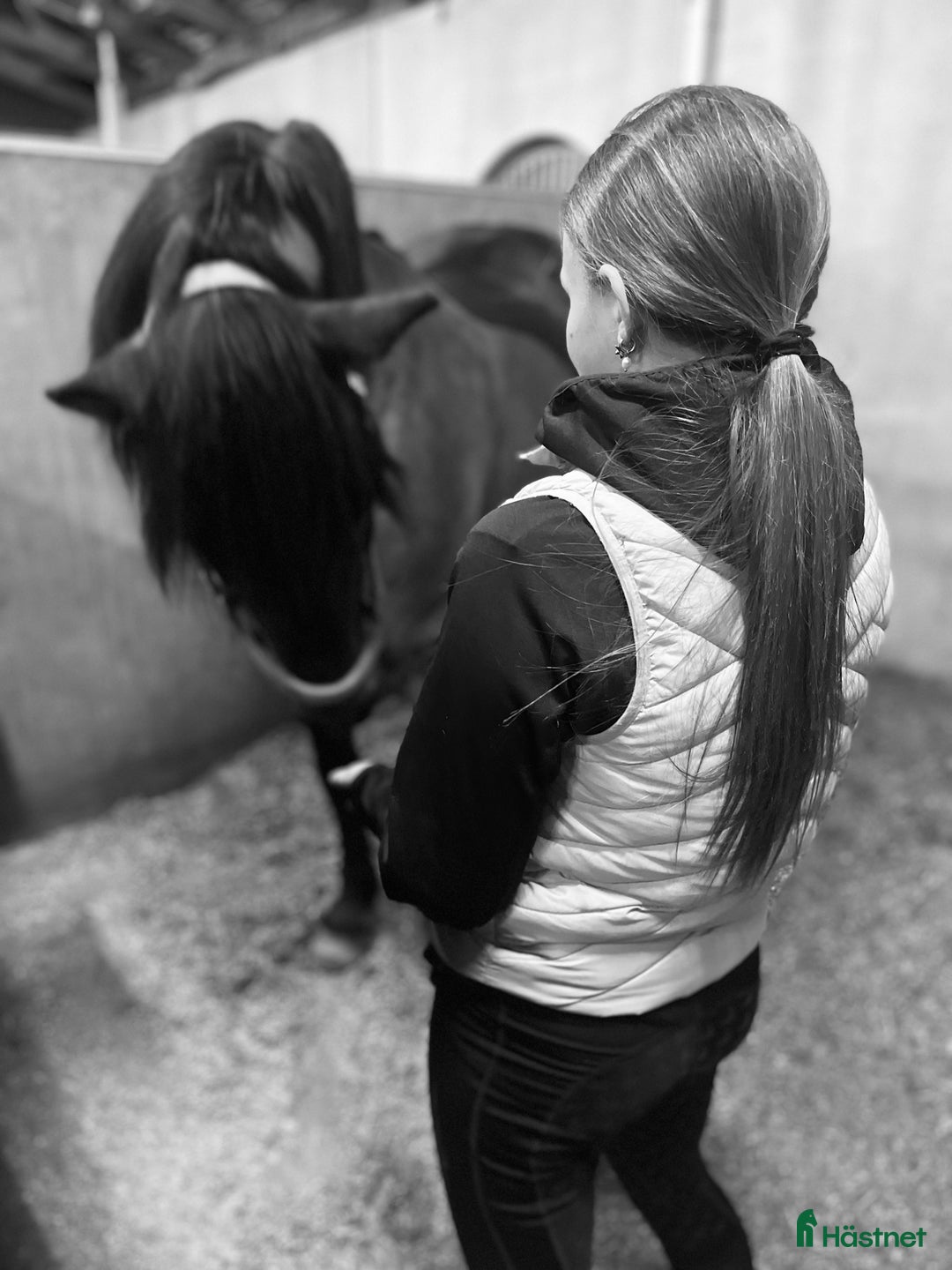  medryttarhäst sökes: 🌟Söker medryttare häst!🌟 i Stenstorp - Annons 2