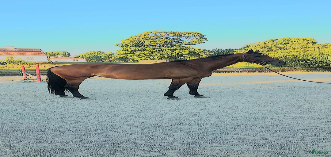 Galleribild {{count}}