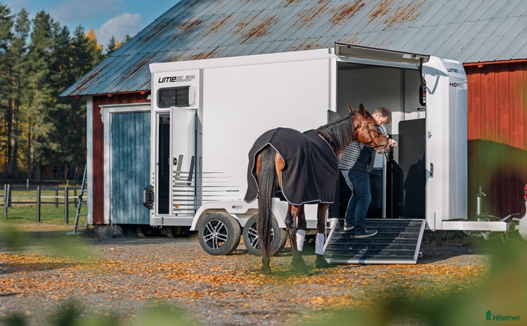 Hästtransporter  fordon & transport till salu i Bygdsiljum - Annons 2