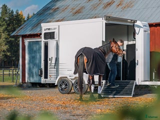 Hästtransporter fordon & transport till salu: Lanseringskampanj Umesläp B50 2026 i Bygdsiljum - Annons 4