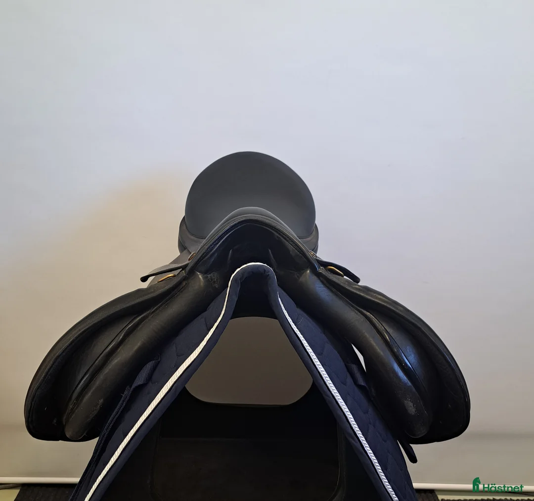 Sadlar hästutrustning till salu: Zaldi Royal Junior 16 W i Färnäs - Annons 2