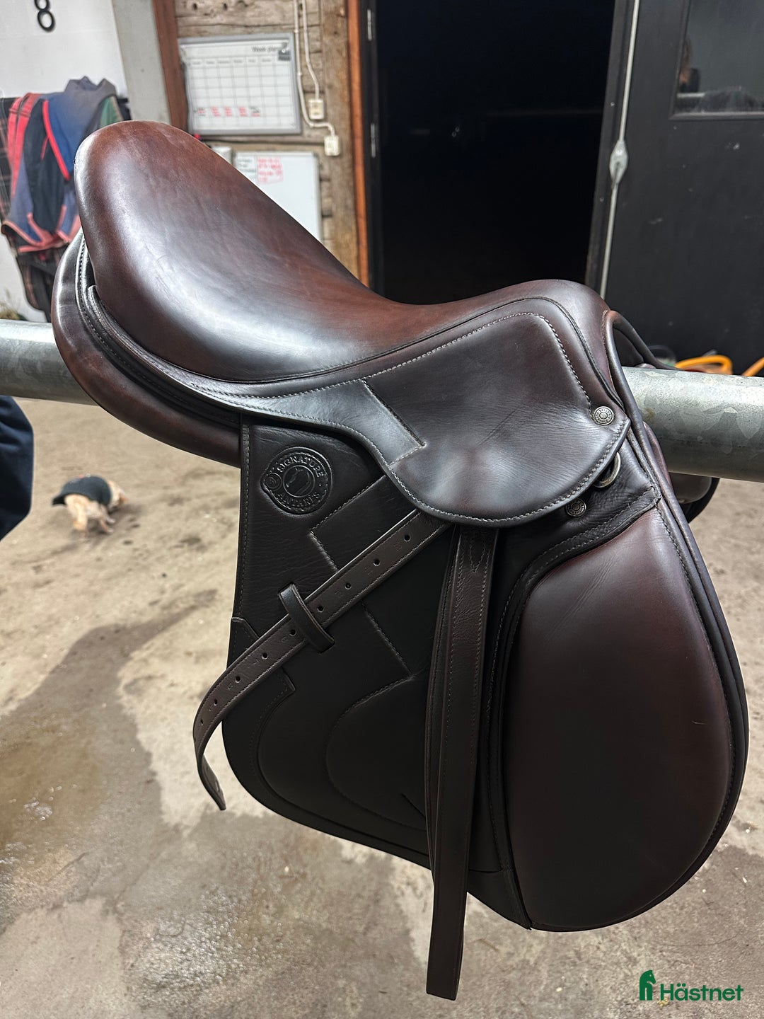 Sadlar hästutrustning till salu: Antares Signature  i Uppsala - Annons 7
