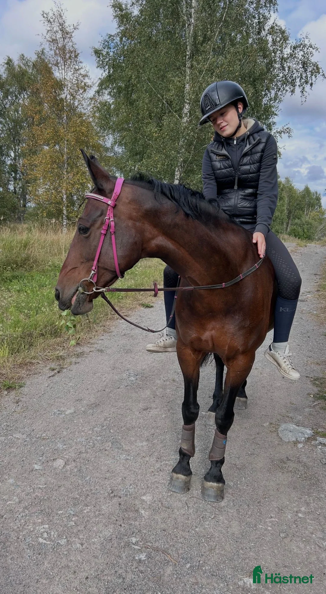 Allround hästar till salu: Finaste ponnyn Anna - Annons 6