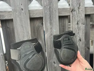 Benskydd hästutrustning Bakskydd LamiCell pro i Växjö - Annons 18