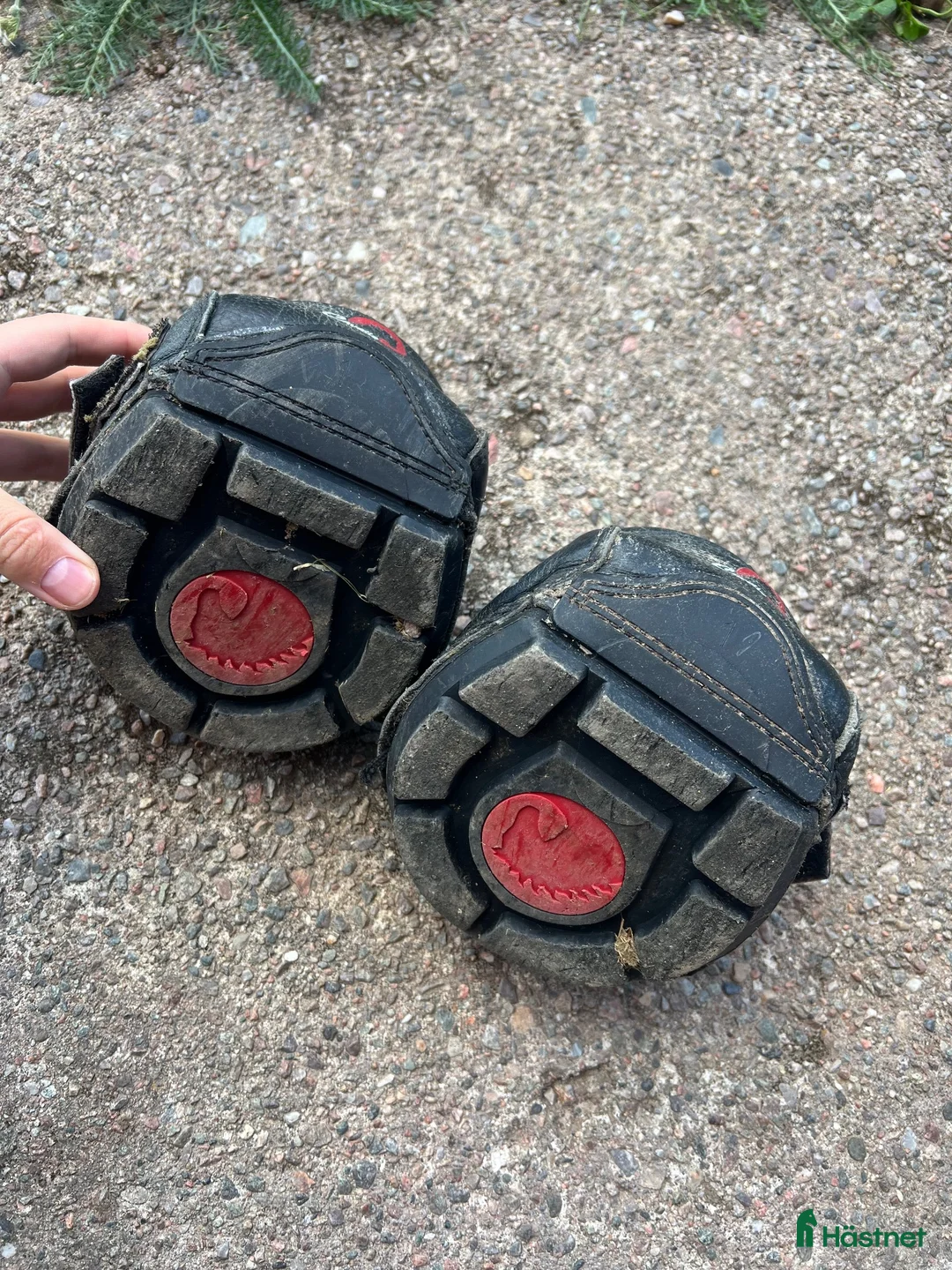 Övrig Hästutrustning hästutrustning till salu: Cavallo boots  - Annons 2