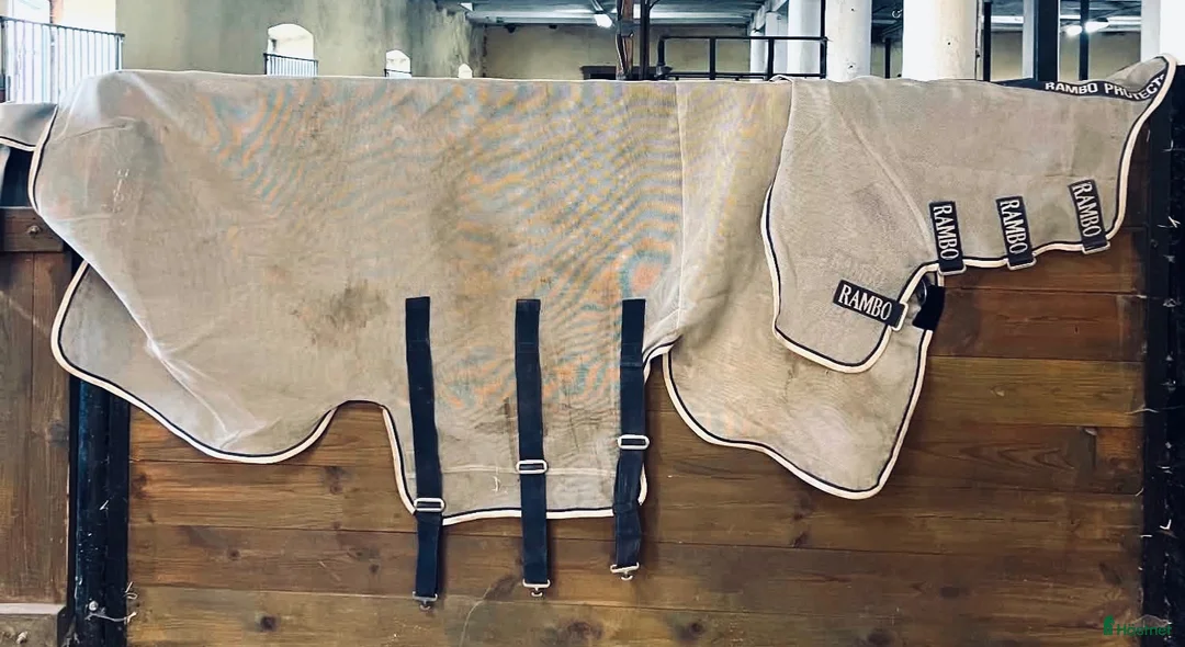 Täcken hästutrustning till salu: Horseware Rambo Protector  - Annons 2