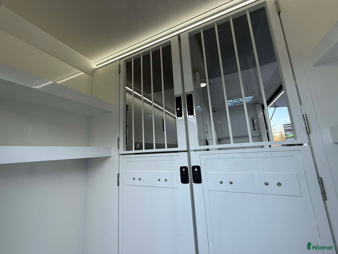 Hästlastbilar  fordon & transport till salu: NORDIC HORSE 5 STUTERI *HÖG LASTVIKT* i Köping - Annons 13