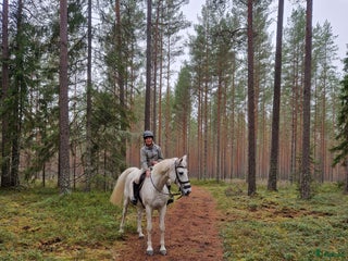 Allround hästar till salu: Hopphäst varit i avel nu i form igen i Rönneshytta - Annons 1