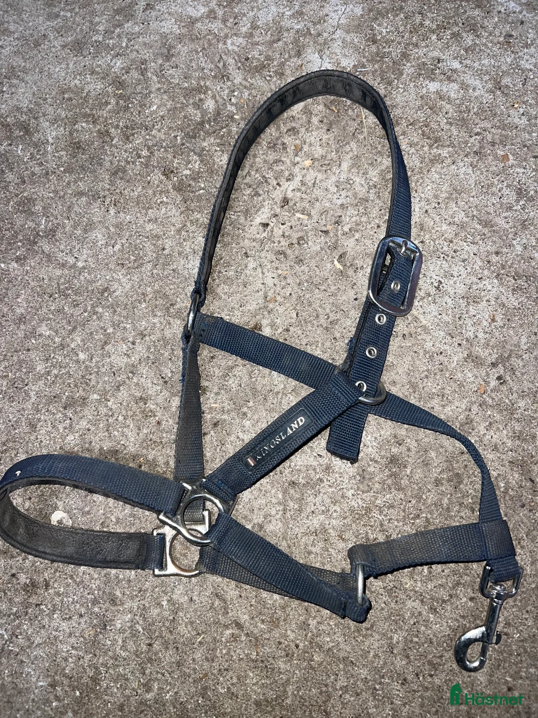 Övrig Hästutrustning hästutrustning till salu: Kingsland grimma i Växjö - Annons 2