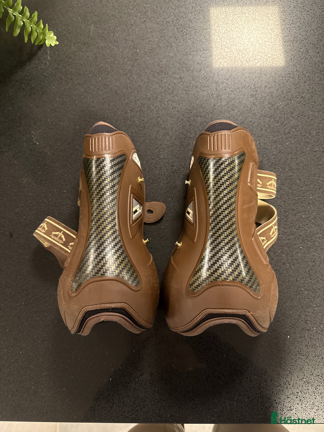 Benskydd hästutrustning till salu: Fina verdus skydd i Varberg - Annons 2