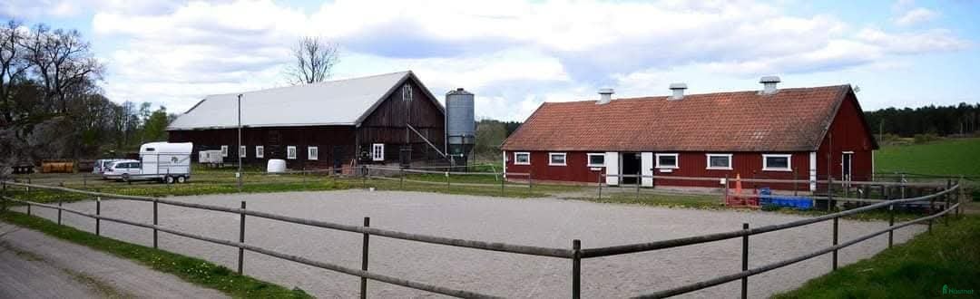  stallplats Ledig plats i Trekanten - Annons 5