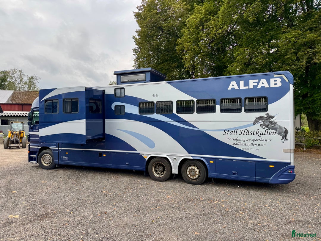 Hästlastbilar  fordon & transport till salu: Hästlastbil ketter i Åtvidaberg - Annons 23