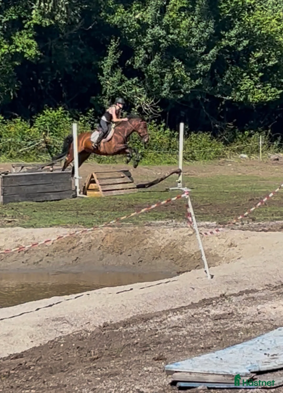 Hoppning hästar sökes: 13 års jente søker D-ponny i Hønefoss - Annons 3