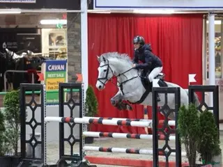 hästar 7yr old 148 by Captain Cruise! - Annons 16