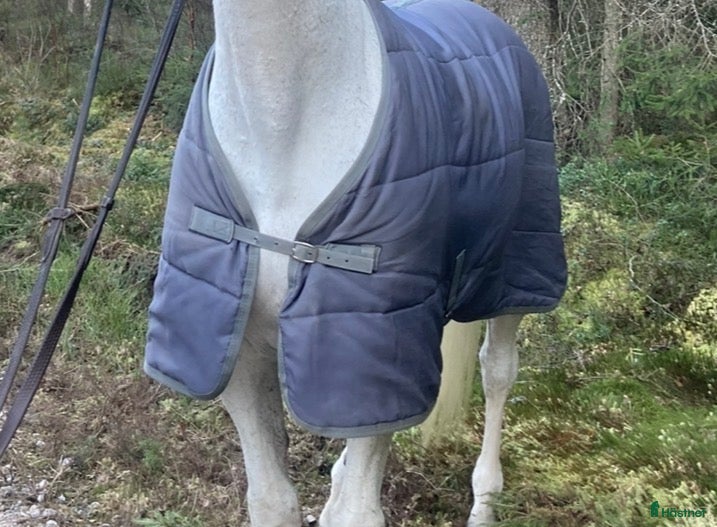 Täcken hästutrustning till salu: Olika täcken  - Annons 4