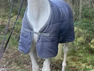 Täcken hästutrustning till salu: Olika täcken - Annons 4
