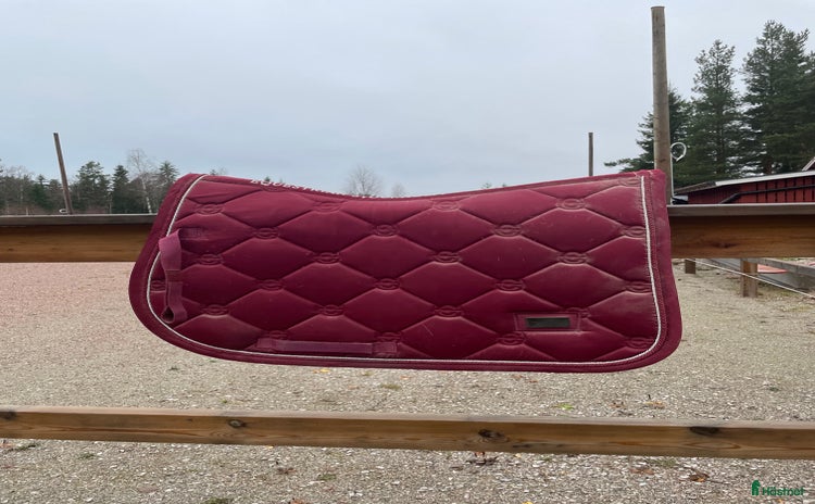 Schabrak & Vojlockar hästutrustning till salu i Rättvik - Annons 16