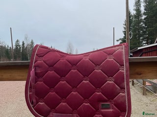 Schabrak & Vojlockar hästutrustning till salu: 2 ES schabrak tillsalu i Rättvik - Annons 19