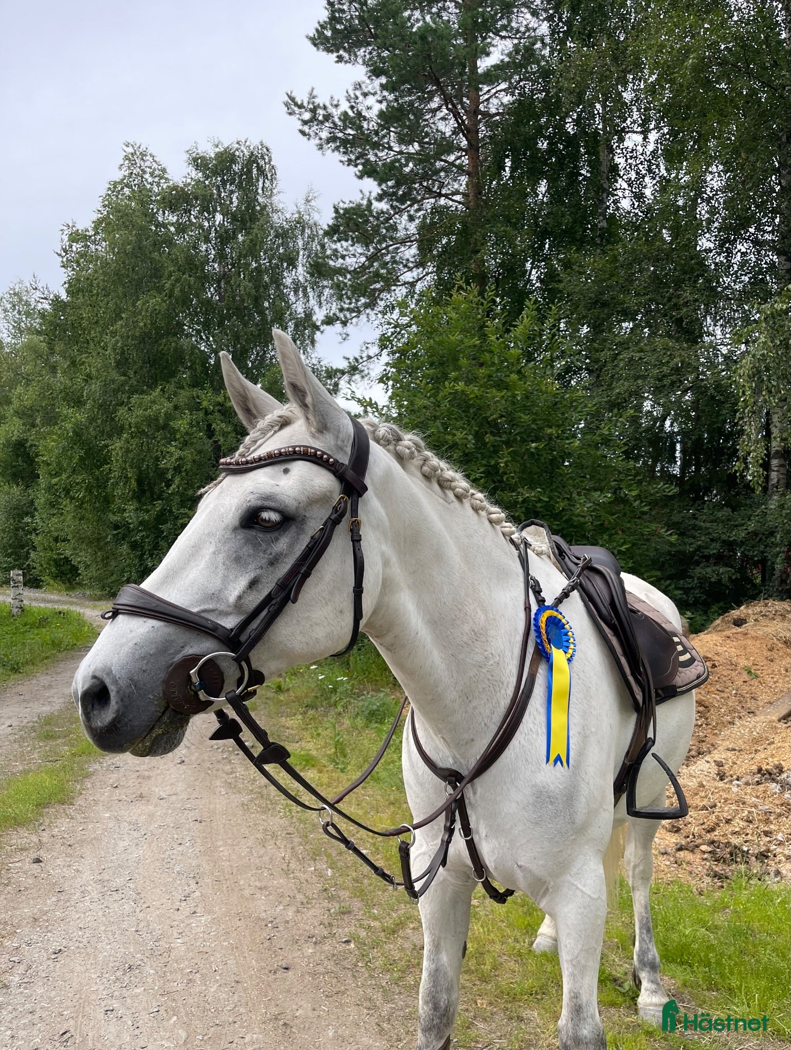  hästar Hinderklok oslipad diamant 💎  - Annons 1