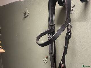 Träns hästutrustning till salu i Löddeköpinge - Annons 29