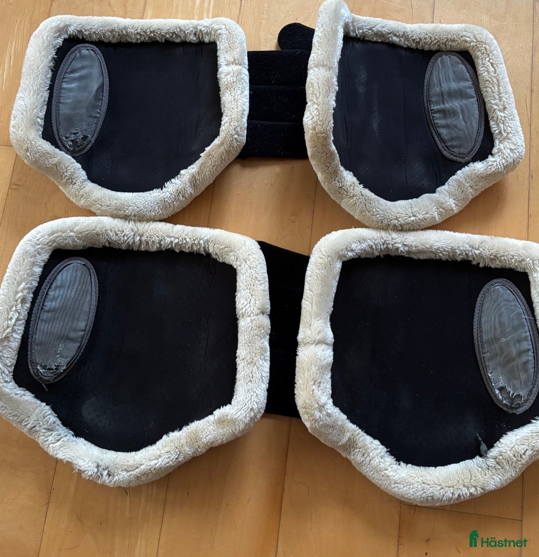 Benskydd hästutrustning till salu: Anky Benskydd i Enköping - Annons 2