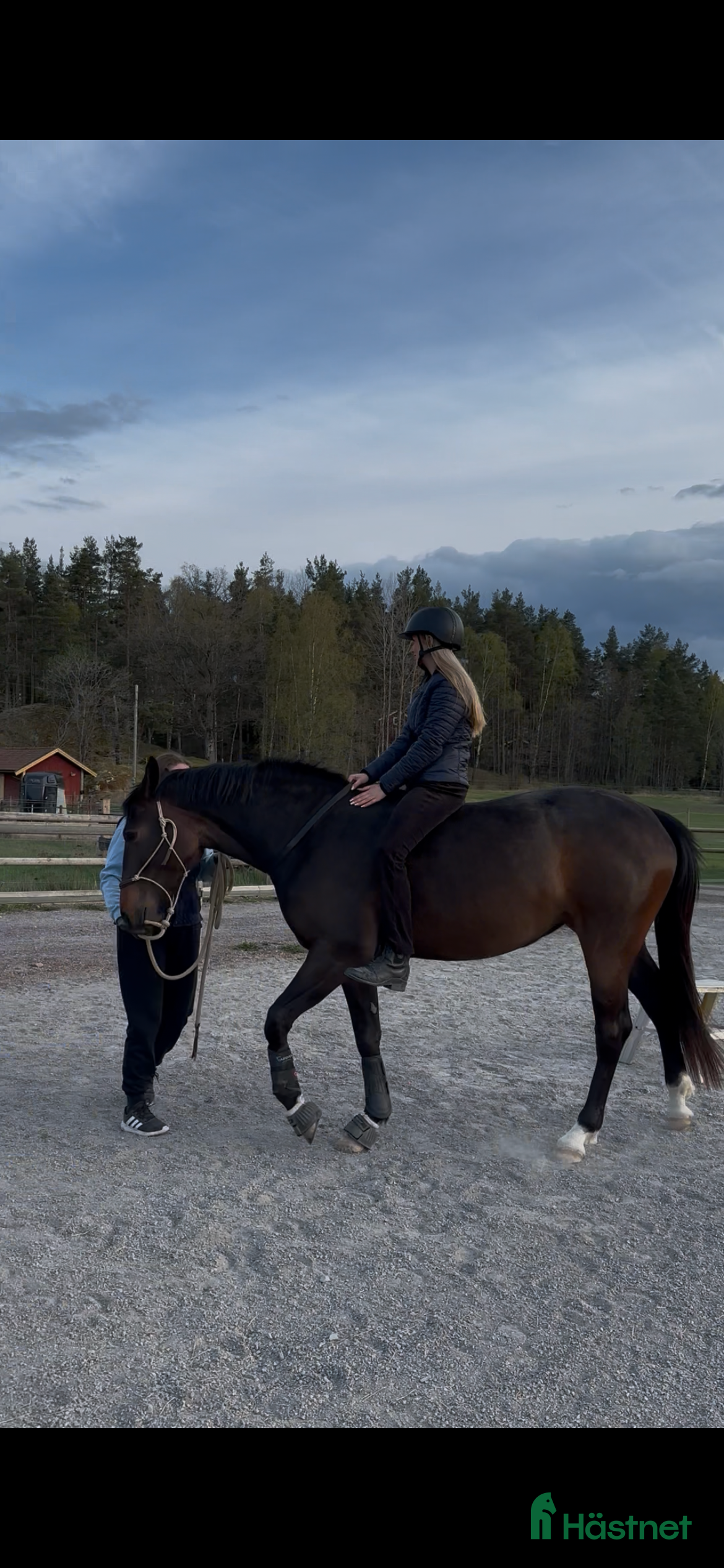  hästar framtida partner till Berga Naturbruksgymnasium  i Vagnhärad - Annons 6