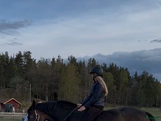 hästar framtida partner till Berga Naturbruksgymnasium i Vagnhärad - Annons 13