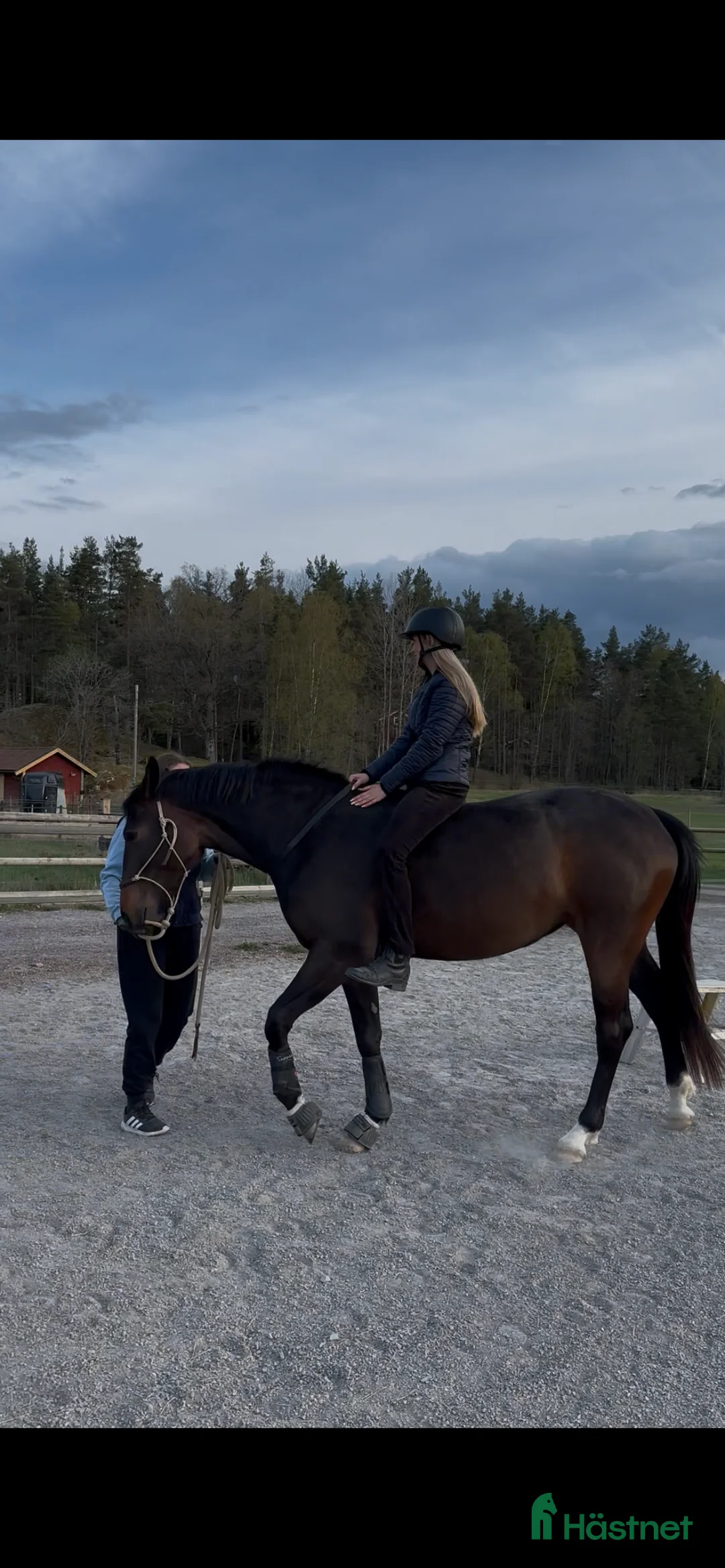 Hoppning hästar sökes: framtida partner till Berga Naturbruksgymnasium  i Vagnhärad - Annons 1