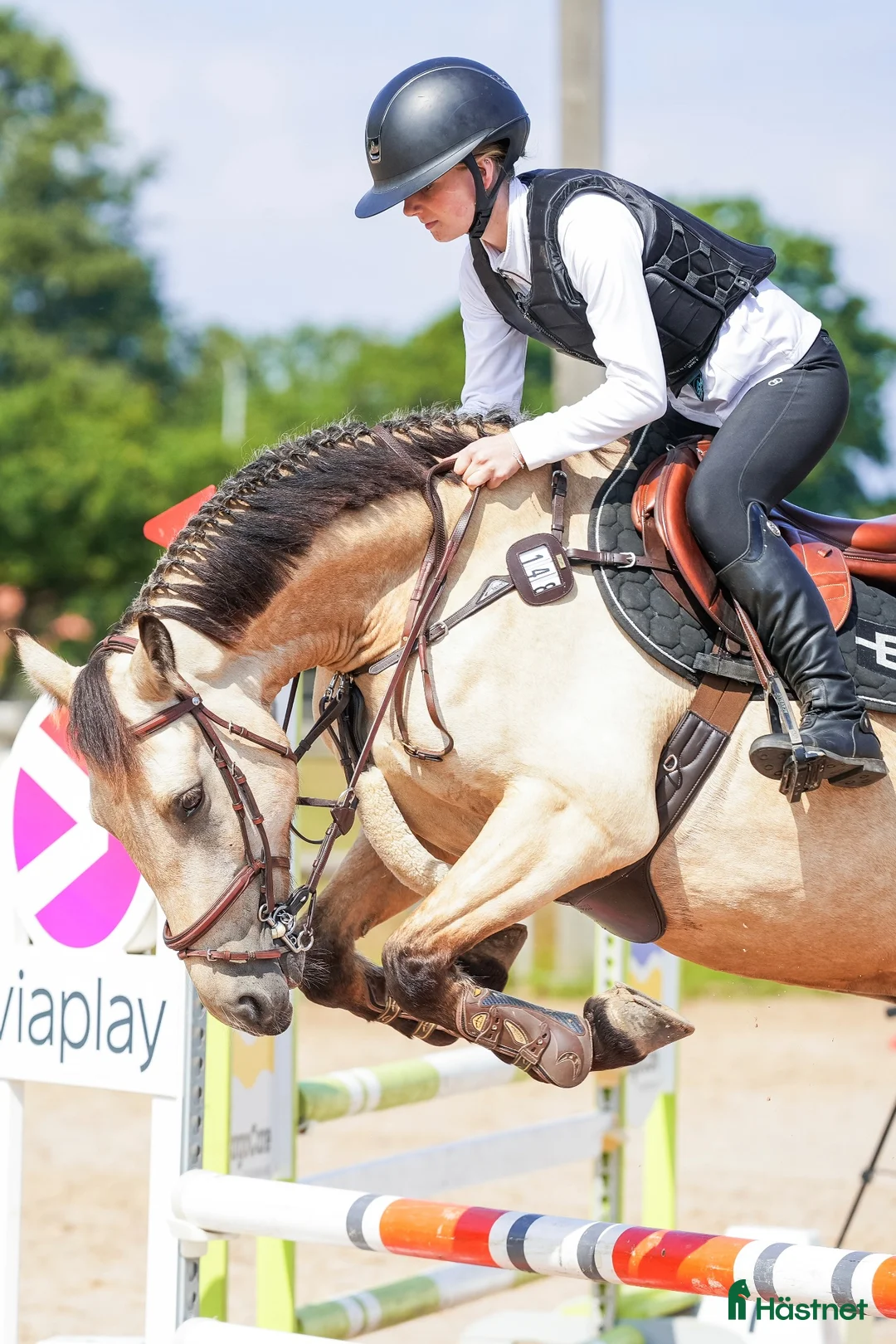 Hoppning hästar till salu: Lovande ungponny✨  - Annons 1