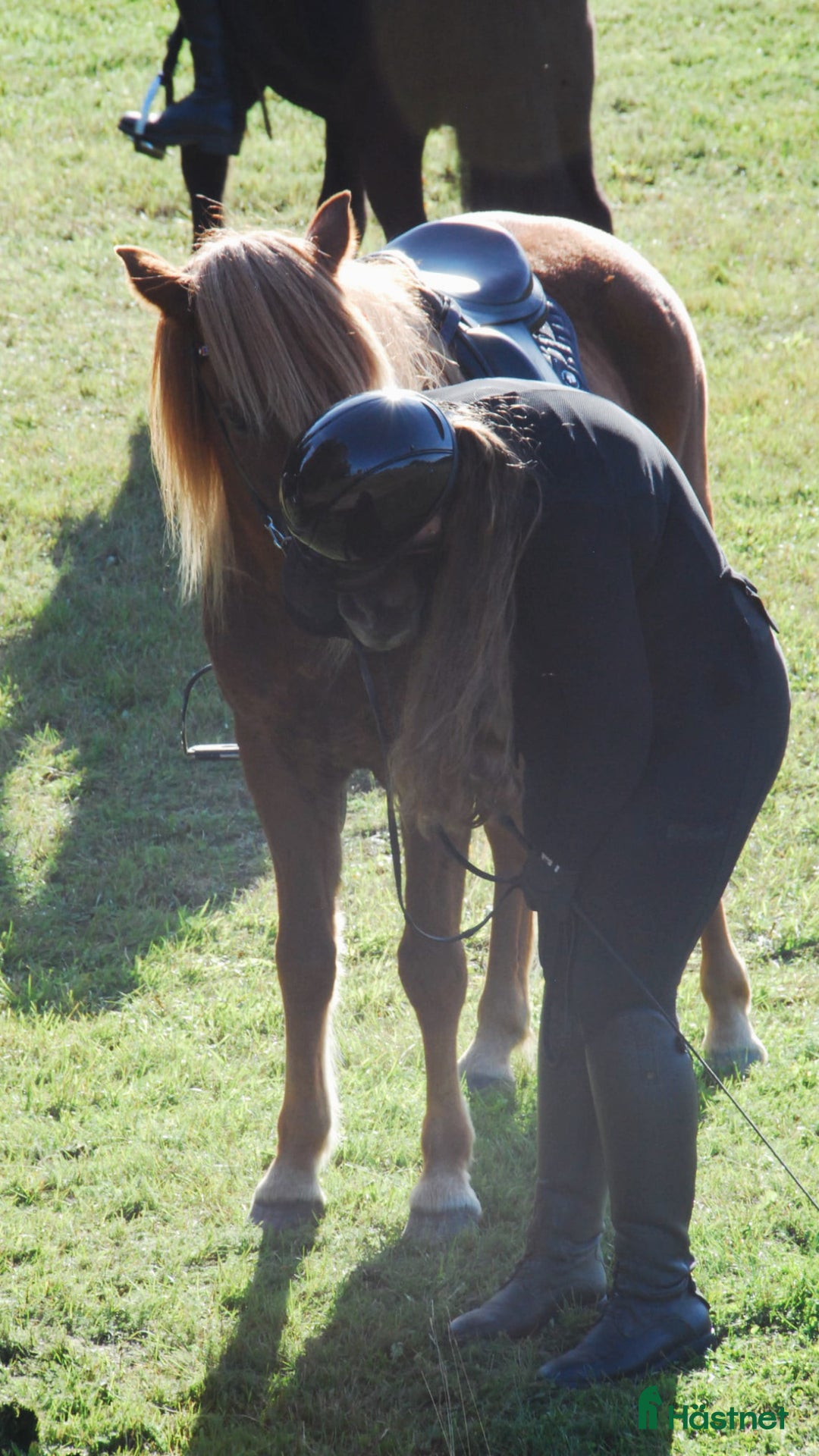 Galleribild {{count}}