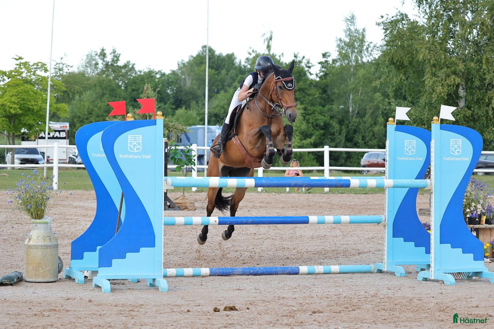  hästar Roscrib Butterfly sto f 2010 - Annons 2