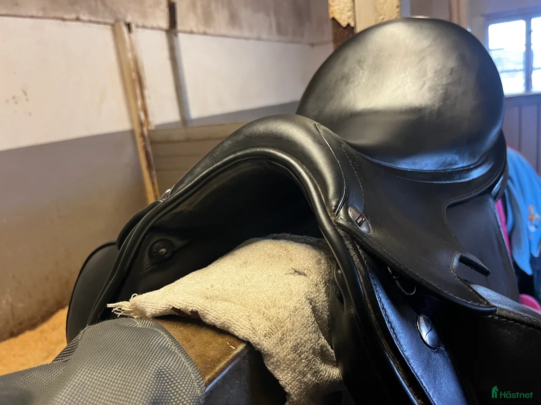 Sadlar hästutrustning till salu: Erreplus Vittoria - Annons 4