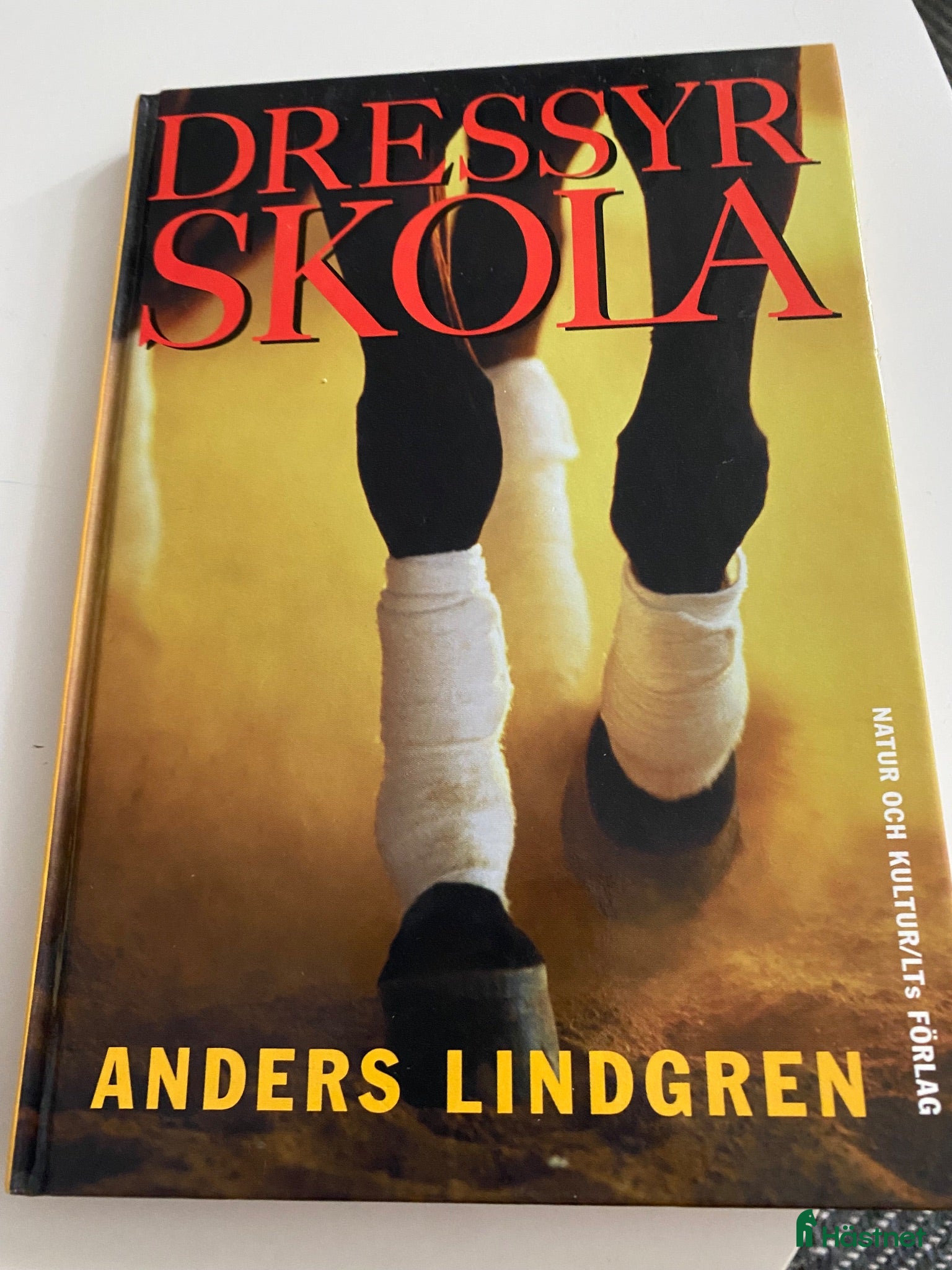 Övrig utrustning övrig utrustning till salu: Dressyr skola - Annons 3