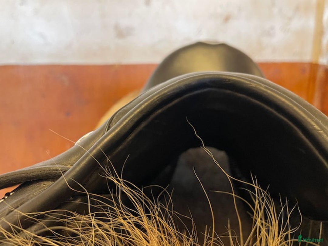 Sadlar hästutrustning till salu: Lyxig sadel, Island eller allround i Vännäs - Annons 3